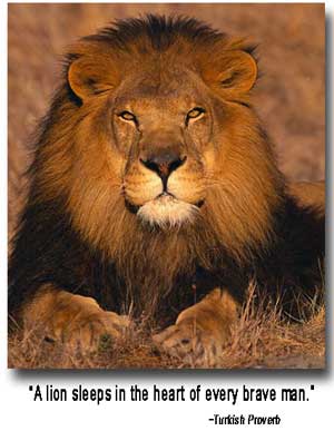 lion-heart