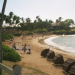 14 Day Fat Furnace Promotion Fitness Marketing System