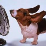 How to Leverage Your Personal Training Business