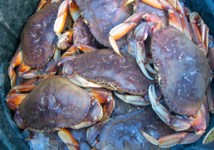 Screen Shot 2014-02-07 at 9.49.51 AM