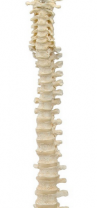 Screen Shot 2014-02-13 at 5.32.15 PM